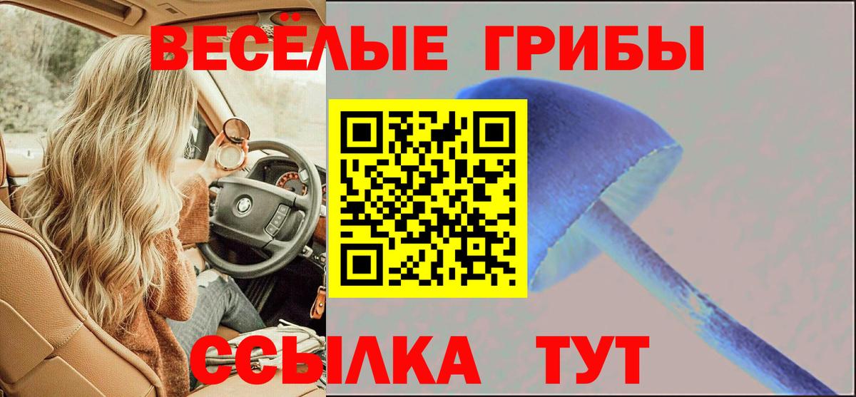 Псилоцибиновые грибы прущие грибы Удомля