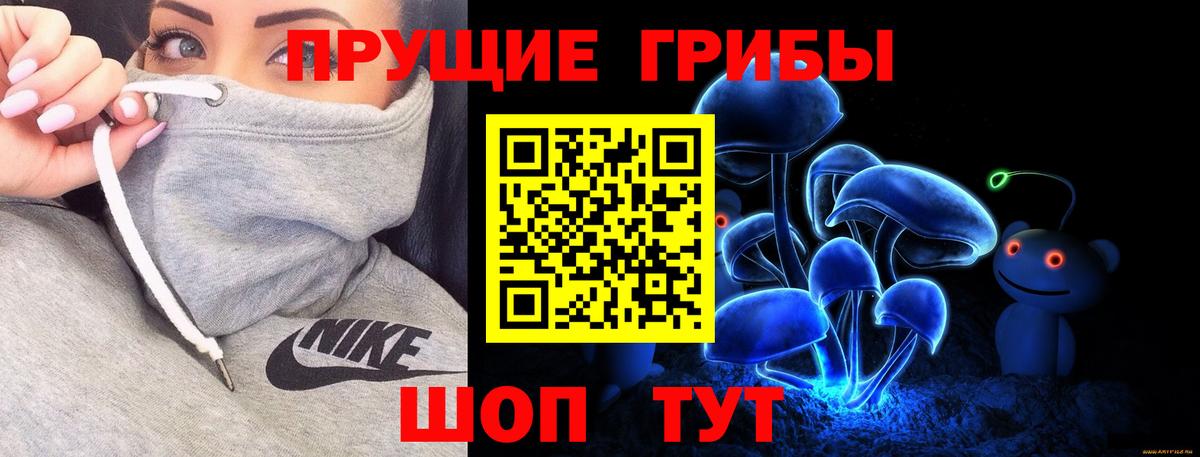 Удомля  Галлюциногенные грибы Psilocybe  Вход с VPN 