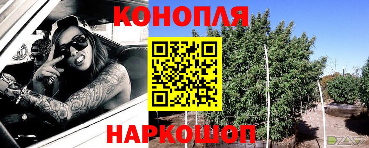Конопля Amnesia  Вход с VPN  Удомля  МАРИХУАНА планчик 